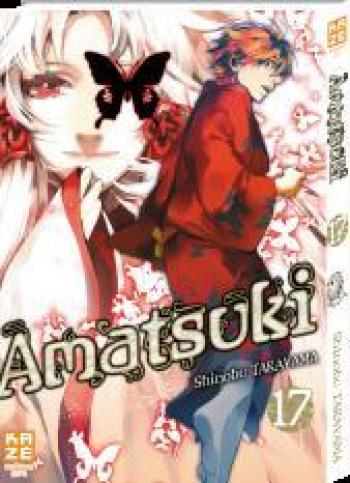 Couverture de l'album Amatsuki - 17. Tome 17