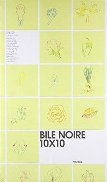 Couverture de l'album Bile noire - HS. Bile noire 10X10