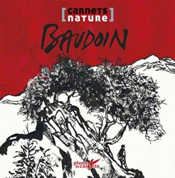 Couverture de l'album Baudoin (One-shot)