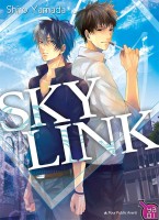 Sky Link (One-shot)