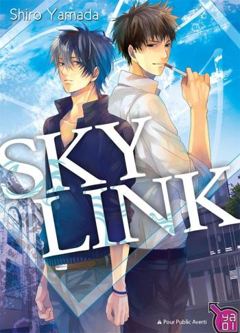 Couverture de l'album Sky Link (One-shot)