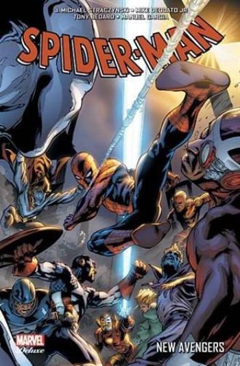 Couverture de l'album Spider-Man - New Avengers (One-shot)