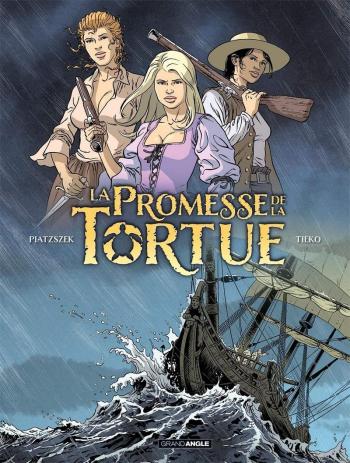 Couverture de l'album La promesse de la Tortue - 1. Volume 1/3
