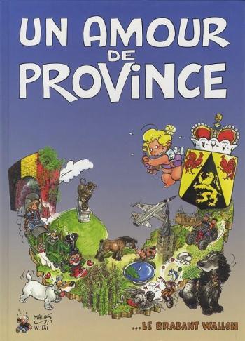 Couverture de l'album Un amour de province (One-shot)