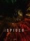 Spider : 2. Wonderland