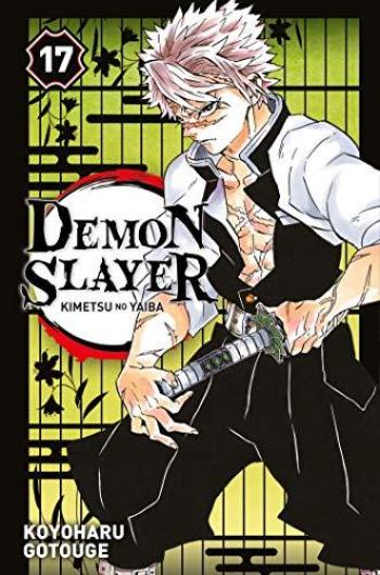 Couverture de l'album Demon Slayer - 17. Tome 17