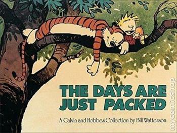 Couverture de l'album Calvin and Hobbes (VO) - 8. The Days Are Just Packed