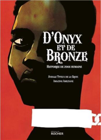 Couverture de l'album D'onyx et de bronze (One-shot)