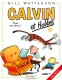 Calvin et Hobbes : 10. Tous aux abris !