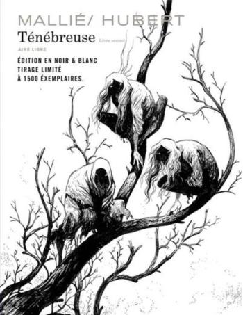 Couverture de l'album Ténébreuse - 2. Livre second