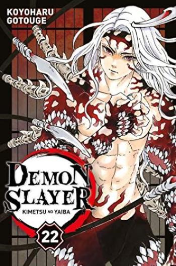 Couverture de l'album Demon Slayer - 22. Tome 22