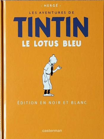 Couverture de l'album Tintin - Hergé, une vie, une oeuvre - 5. Le Lotus Bleu