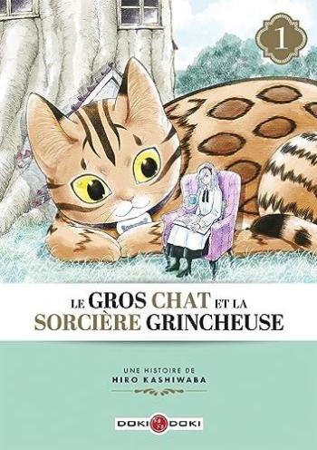 Couverture de l'album Le Gros Chat et la Sorcière grincheuse - 1. Tome 1