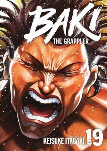 Couverture de l'album Baki the Grappler (Perfect Edition) - 19. Tome 19
