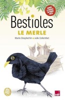 Bestioles 4. Le merle