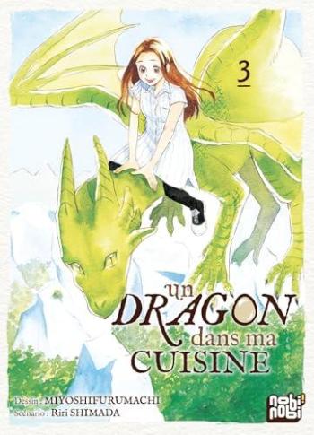 Couverture de l'album Un dragon dans ma cuisine - 3. Tome 3