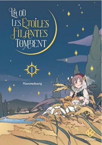 Couverture de l'album Là où les étoiles filantes tombent - 1. Tome 1