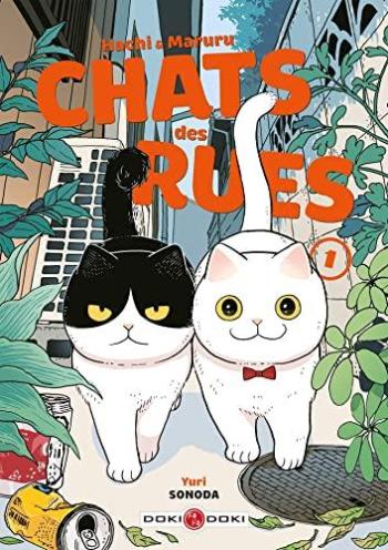 Couverture de l'album Hachi & Maruru - Chats des rues - 1. Tome 1