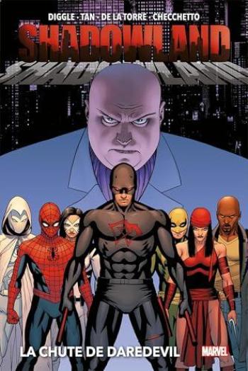 Couverture de l'album Daredevil - Shadowland (One-shot)