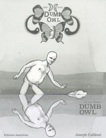 Couverture de l'album Dumb Owl (One-shot)