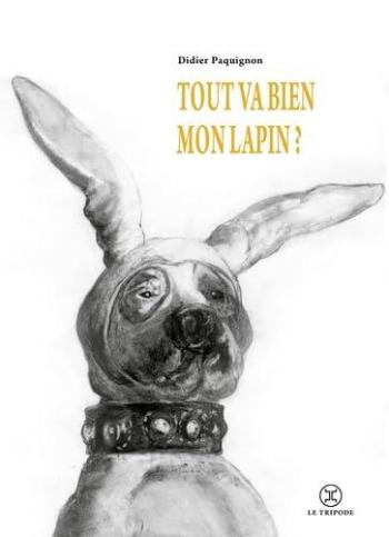 Couverture de l'album Tout va bien mon lapin ? (One-shot)