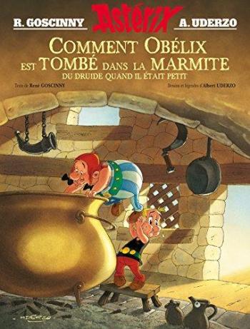 Couverture de l'album Astérix (Divers) - HS. Comment Obélix est tombé dans la Marmite du Druide Quand il était petit