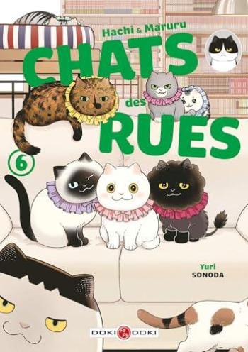 Couverture de l'album Hachi & Maruru - Chats des rues - 6. Tome 6