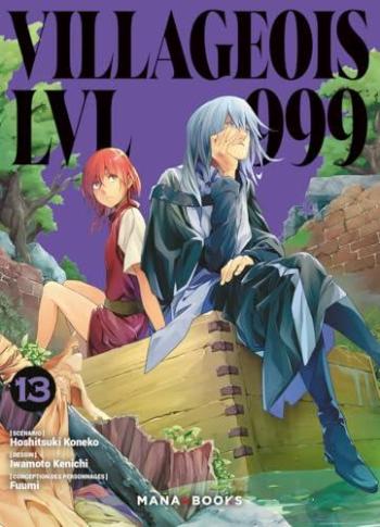 Couverture de l'album Villageois LVL 999 - 13. Tome 13