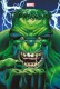 The Immortal Hulk : 1. Tome 1 - Variant Panini