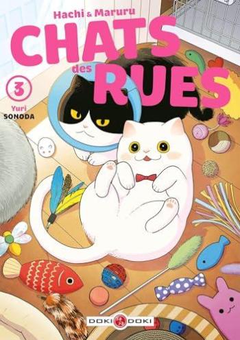 Couverture de l'album Hachi & Maruru - Chats des rues - 3. Tome 3