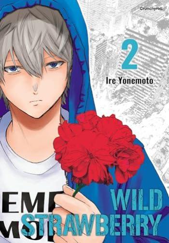 Couverture de l'album Wild strawberry - 2. Tome 2