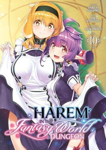 Couverture de l'album Harem in the Fantasy World Dungeon - 10. Tome 10