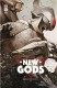 New gods : 1. La chute des cieux
