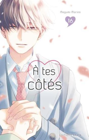 Couverture de l'album À tes côtés - 16. Tome 16