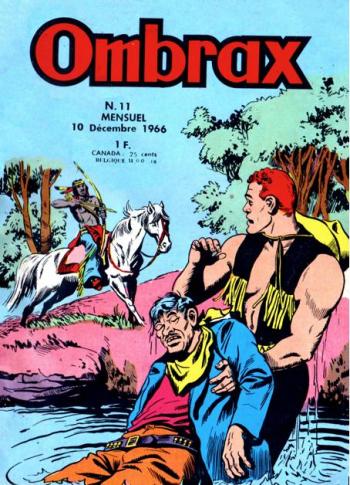 Couverture de l'album Ombrax - 11. Le survivant