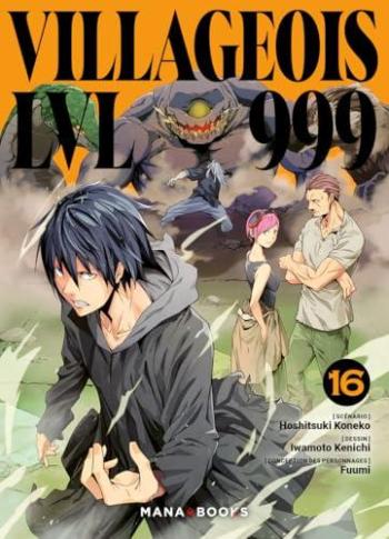 Couverture de l'album Villageois LVL 999 - 16. Tome 16