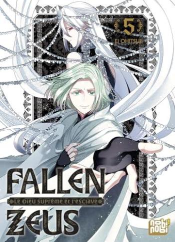 Couverture de l'album Fallen Zeus - Le Dieu Suprême et l'esclave - 5. Tome 5