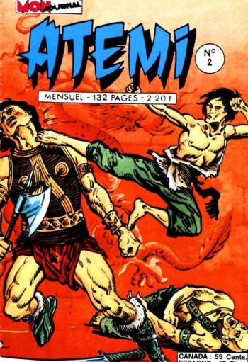 Couverture de l'album Atemi - 2. Dragon noir