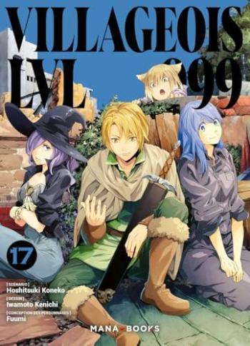 Couverture de l'album Villageois LVL 999 - 17. Tome 17