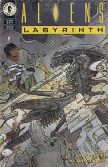 Couverture de l'album Aliens - Labyrinth - 2. Aliens Labyrinthe, Tome 2