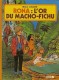 Rona : 1. Rona : l'or du Macho-Fichu