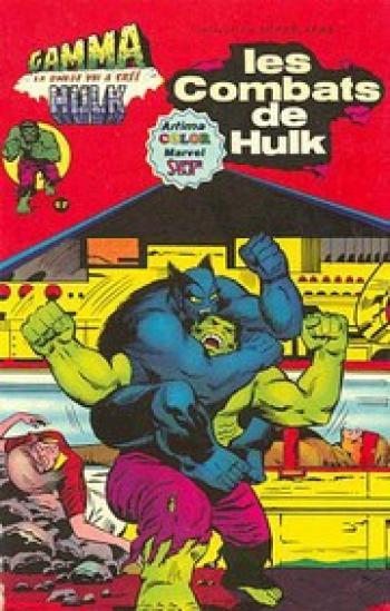 Couverture de l'album Hulk (3ème série - Aredit Gamma) - 3. Les combats de Hulk