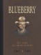 Blueberry (Intégrale Le Soir) : 10. Nez cassé / La longue marche