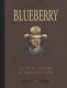 Blueberry (Intégrale Le Soir) : 11. La tribu fantôme / La dernière carte
