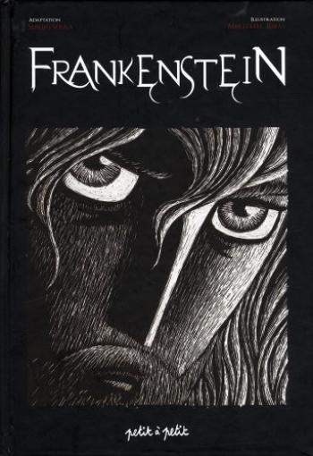 Couverture de l'album Frankenstein (One-shot)