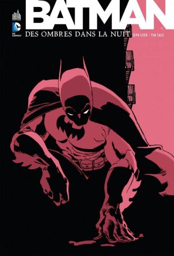 Couverture de l'album Batman - Des ombres dans la nuit (One-shot)