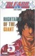 Bleach : 5. Right arm of the giant