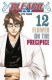 Bleach : 12. Flower on the precipice