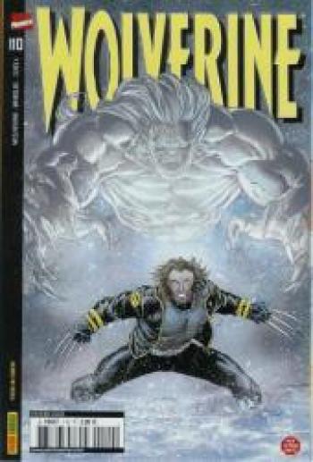 Couverture de l'album Wolverine (Marvel France V1) - 110. Survivre
