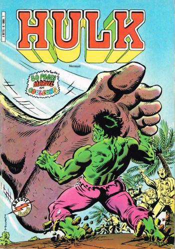 Couverture de l'album Hulk (Arédit - Flash Nouvelle Formule) - 9. A chacun son destin